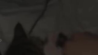 cat funny 014