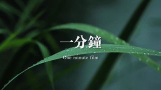 荷池细雨，碧叶连连