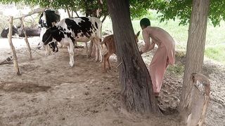 Funny short video 25