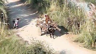 سسی پنوں کا شہر جو آج بھی موجود ہے بھٹہ واہن