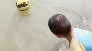 Find 'animals funny video' on TikTok .