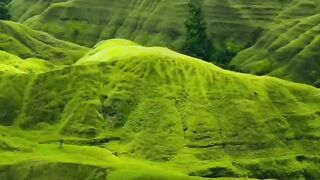 find the greenest place on the planet?