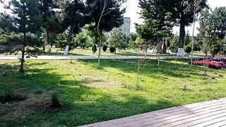 АЛЛЕЯ