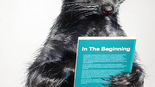 Spell in the BEGINNING