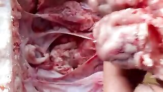 It 's Crazy Recipe... Fried Beef Brains
