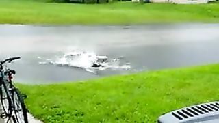 very nice funny