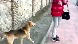 TRY NOT TO LAUGHING I Best Funny Videos Compilation 2023 # 128