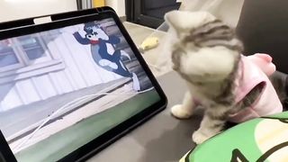 Funny video part-2