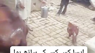 Asy kis k sat hua hai
