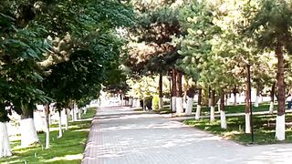 АЛЛЕЯ2