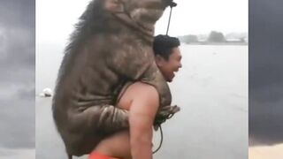 Funny memes 30