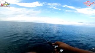 GIANT TREVALLY