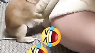 cute Rabbit 2