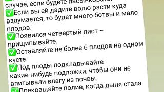 ГРИЖИ ЗА ДИНИТЕ