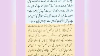 میری جَانب بھی ہو اِک نگاہِ کرم، اے شفیع الواریٰﷺ، خاتم الانبیاءﷺ 20