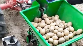 КАРТОФОСАДАЧКА ЗА ГРАДИНАТА