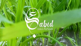 Best Nature View in Pakistan &Song