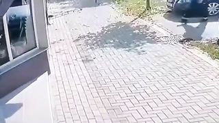 Funny vídeos 16