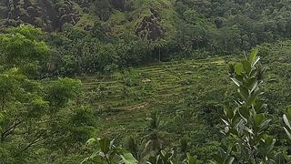Habibie Mountain -Cibareno Pelabuhan Ratu City