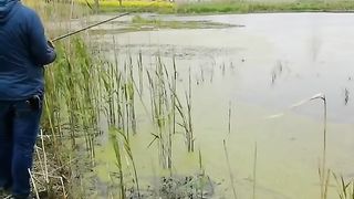 snakehead fishing