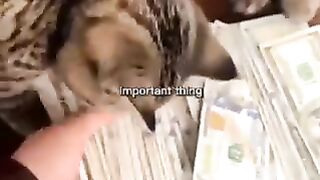 How to make money online 6