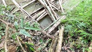 mancing ikan mengunakan cacing tanah