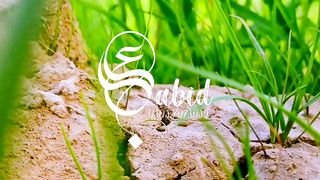BEAUTIFUL OF NATURE View in Pakistan