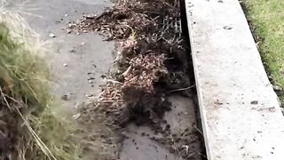 How to clean a pound ????to be praised him to