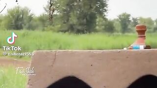 Piplan di shhn wey panjabi song