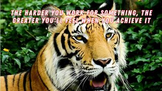 Best motivational and inspirational quotes