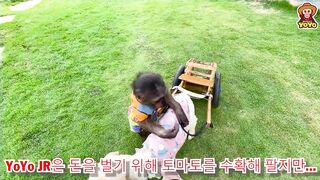 Vidéo 33