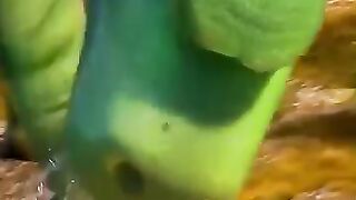 The good dinosaur