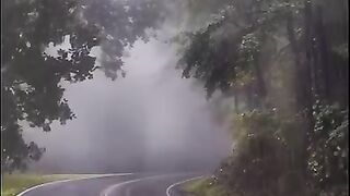 Nature view 2