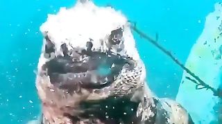 E Gua na From Deep Sea