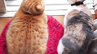 3 of us