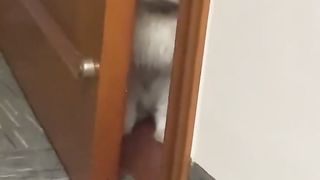I see U