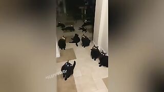 Прикол 34