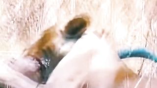 Africa animal.New video.2023.Africa animails (@africaanimals1)_4.