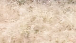 Africa animal.New video.2023.Africa animails (@africaanimals1)_4. 2