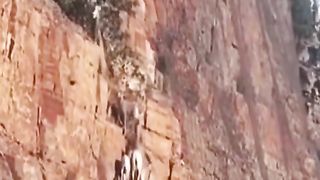 Africa animal.New video.2023.Africa animails (@africaanimals1)_4. 4
