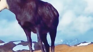 Africa animal.New video.2023.Africa animails (@africaanimals1)_4. 9