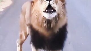 Africa animal.New video.2023.Africa animails (@africaanimals1)_4. 15