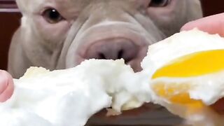 Africa animal.New video.2023.Africa animails (@africaanimals1)_4. 17