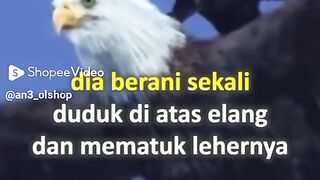 Ambil yang terbaiknya, terus berprasangka baik sobatttt