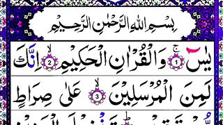 036_Surah_Yasin__Hadar__Beautiful_Tilawat____Quran_Pak_ki_Khubsurat_Tilawat_%40LearnPaniPattiTilawat(360p).