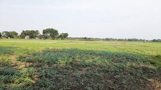 field view