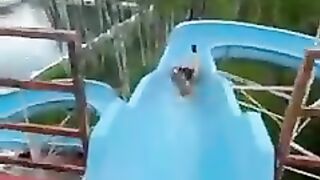 Little Dog Loves Waterslide.