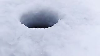 Шикарный улов у рыбака! ????????
