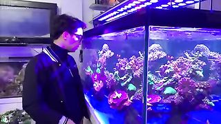 Beautiful fish, Coral at Thai Ha Aquarium Center.mkv