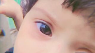 Kitty videos | cute baby TikTok video